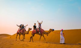 WhatsApp Image 2025-05-26 à 11.22.27_d951ee76